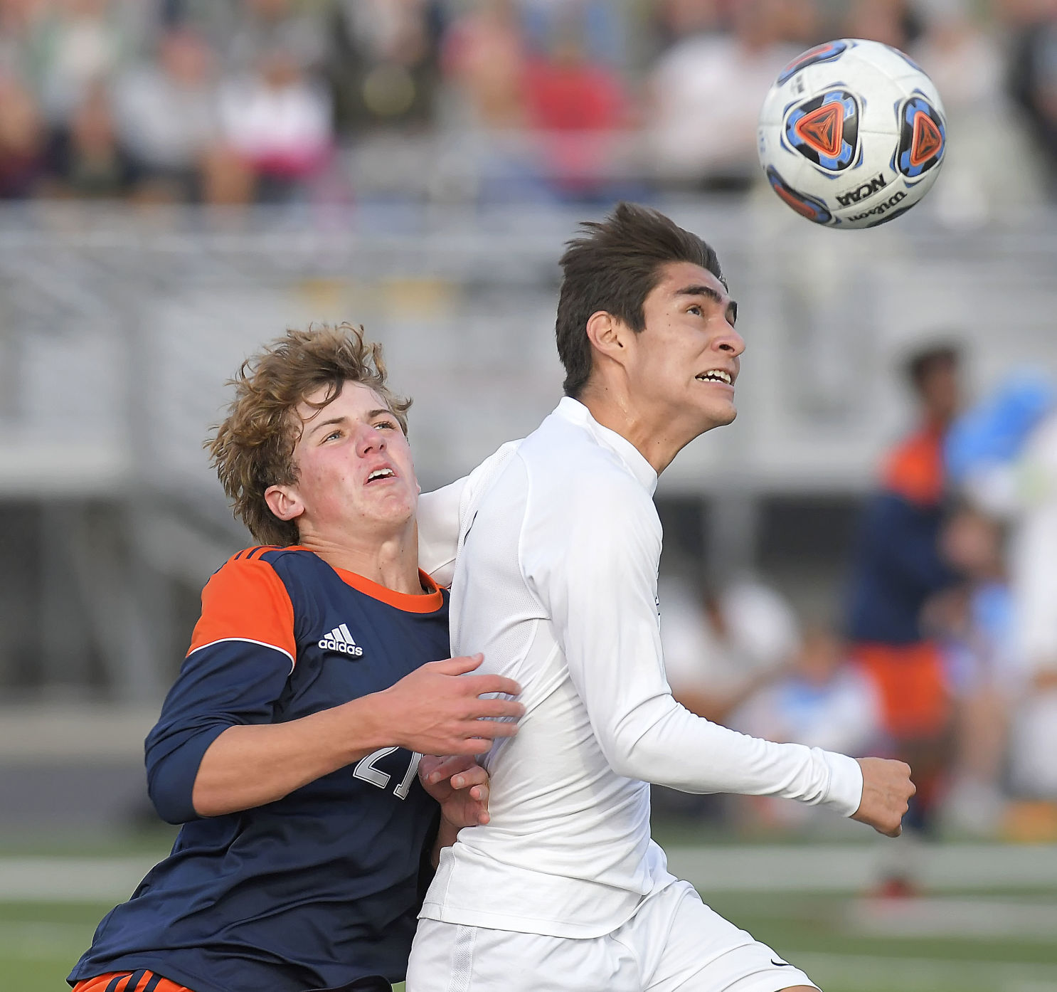 Mountain Crest Ridgeline Soccer 08